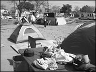 tent cities